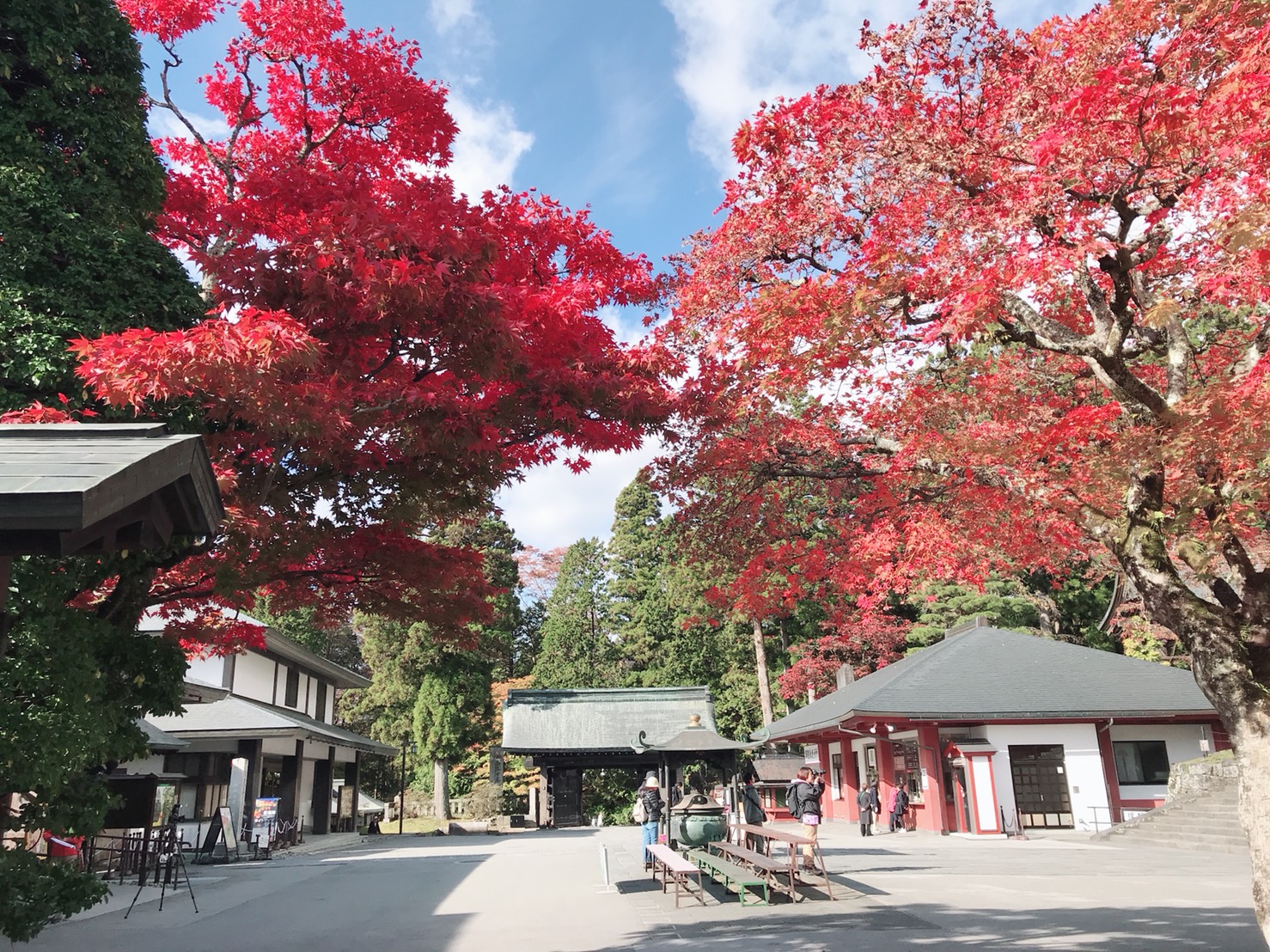 男袴かっこいい 埼玉県吉川市のフォトスタジオ スタジオリアン