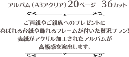 アルバム(A3アクリア)20ページ 36カット