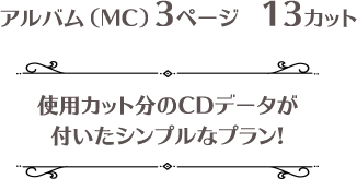 アルバム(MC)3ページ 13カット